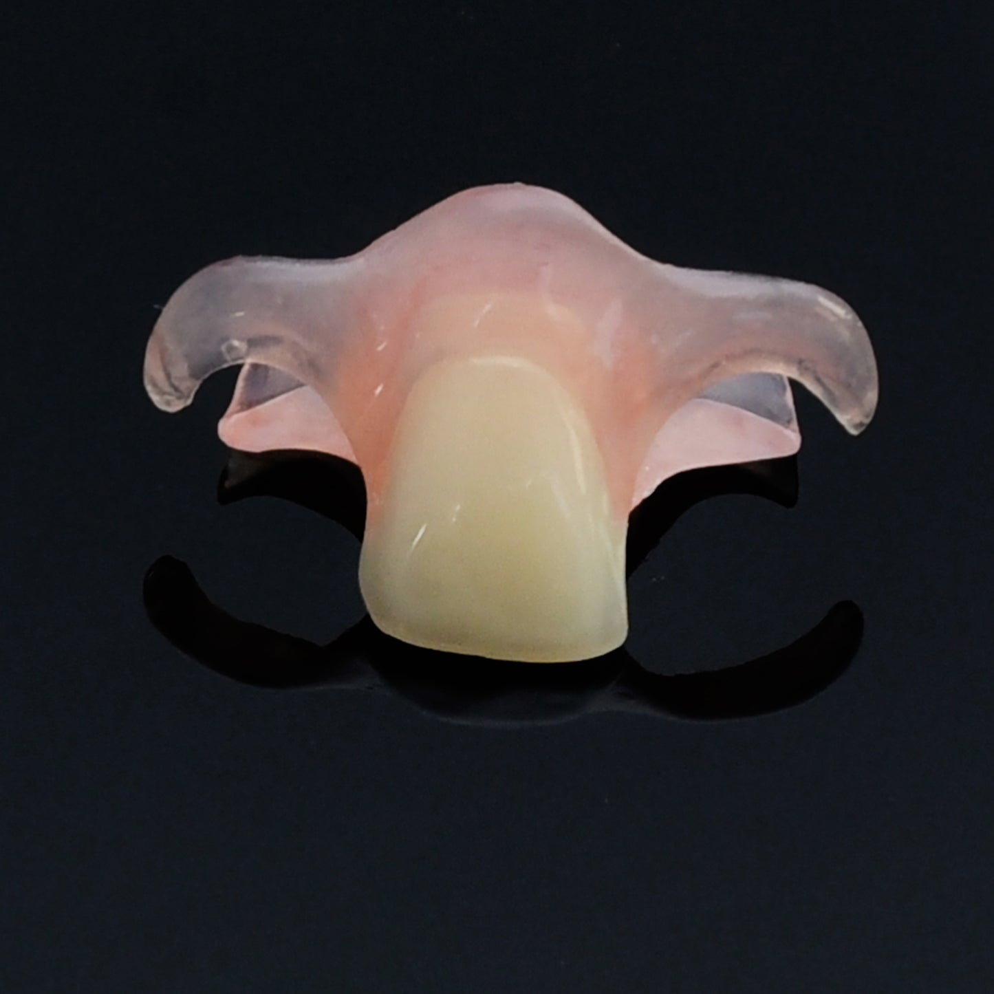 Flexi Flipper (1-2 teeth)