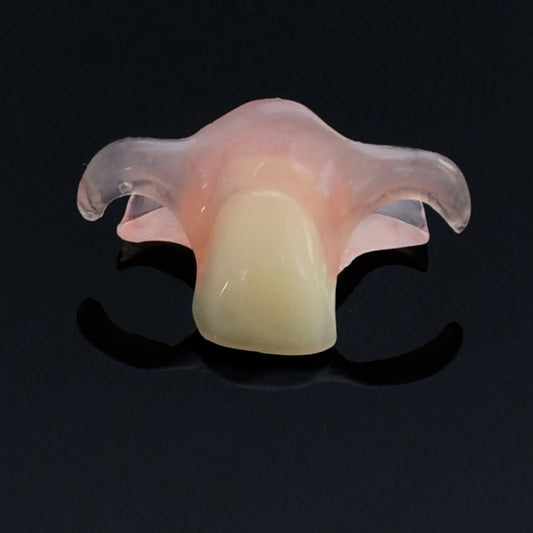 Flexi Flipper (1-2 teeth)